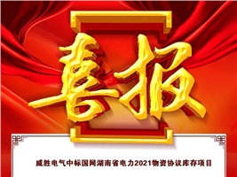 威勝電氣中標(biāo)國網(wǎng)湖南省電力2021物資協(xié)議庫存項(xiàng)目